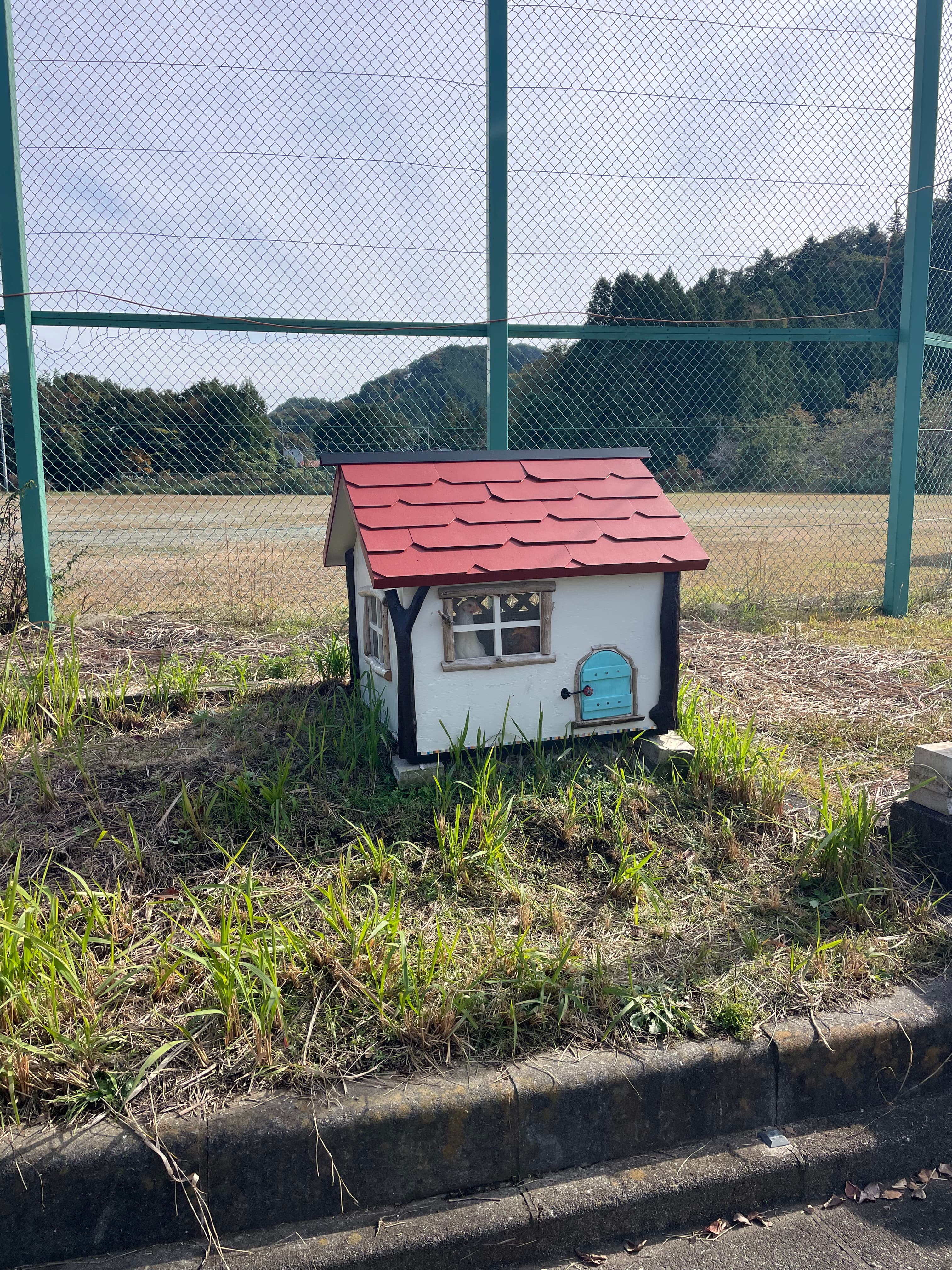 ニワトリ小屋